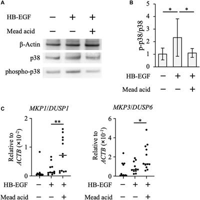 Mead acid inhibits retinol-induced irritant contact dermatitis via peroxisome proliferator-activated receptor alpha